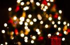 christmas events at hi usa hostels